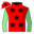 Runner silk