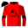 Runner silk