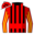 Runner silk